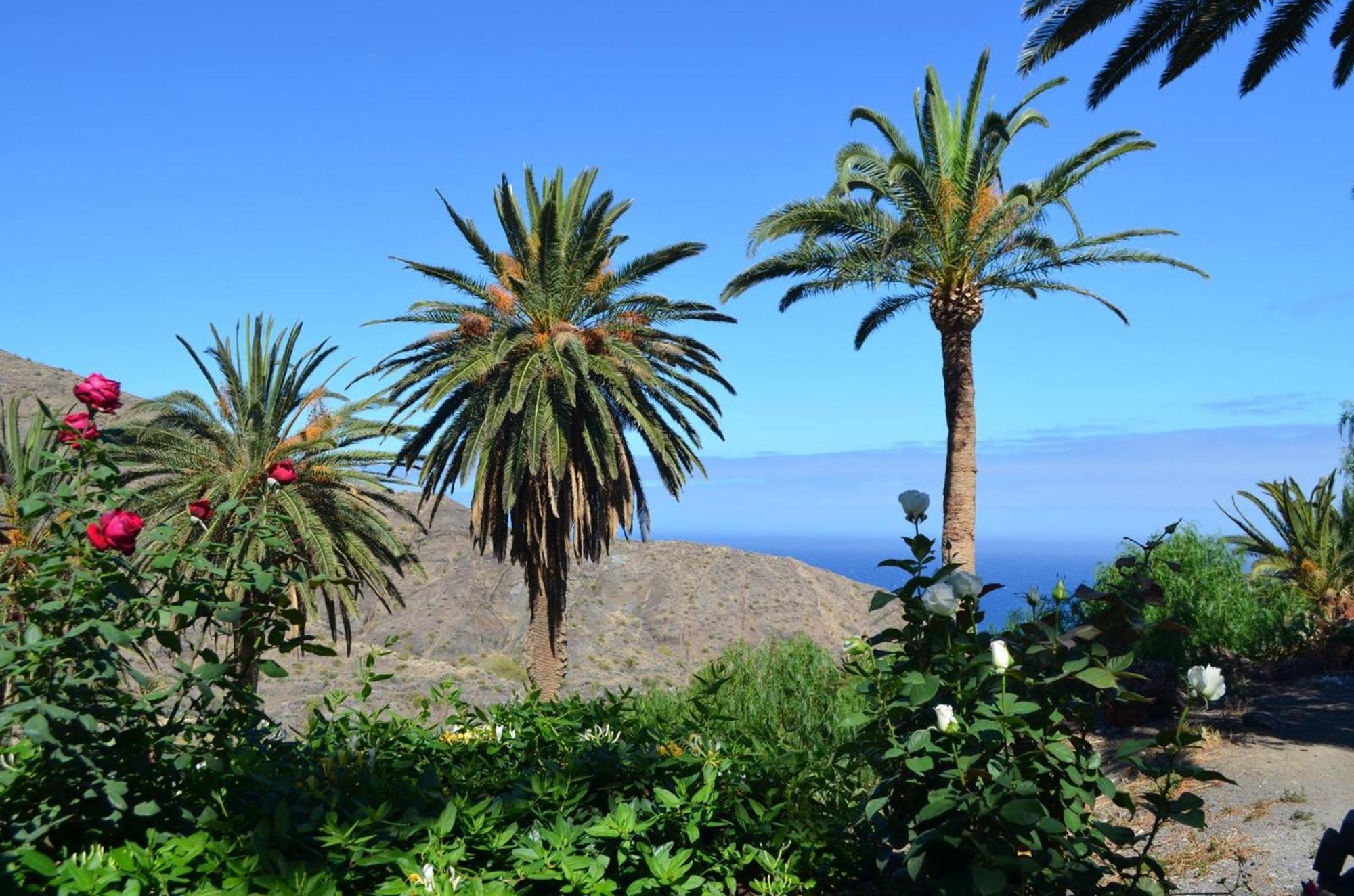 Finca Ossorio Casa Rita Vallehermoso Exteriér fotografie